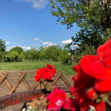 Appartement Kisdio Vendeghaz *