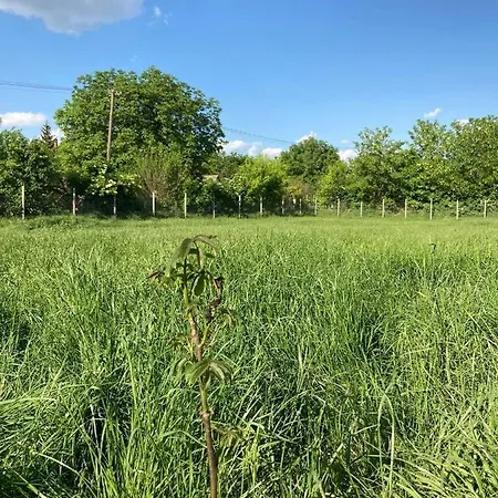 Appartement Kisdio Vendeghaz *