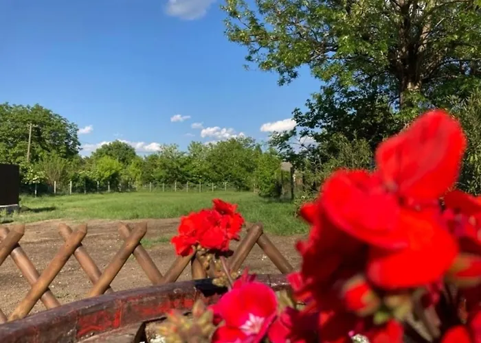 דירה Kisdio Vendeghaz *