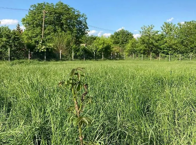 דירה Kisdio Vendeghaz *