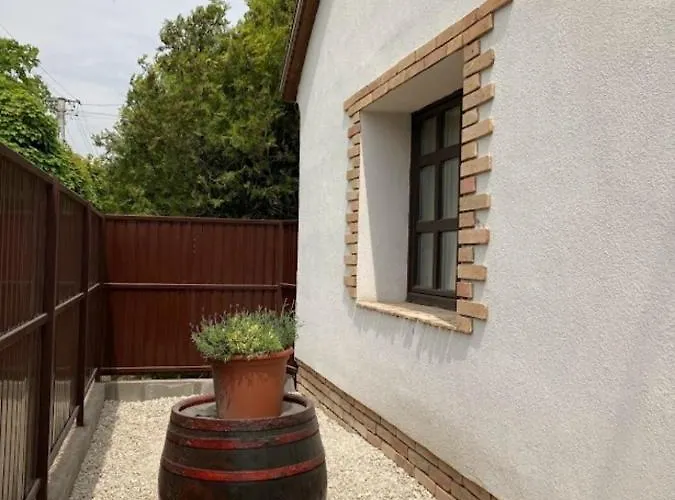 Kisdio Vendeghaz דירה *