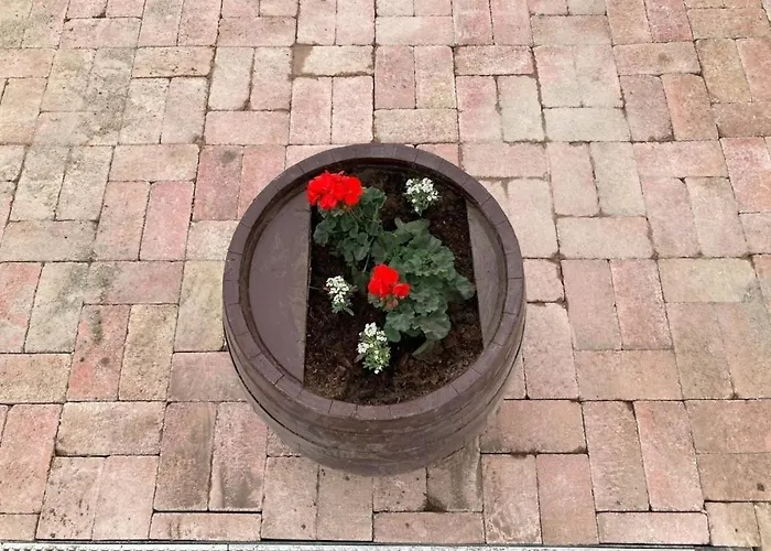 Kisdio Vendeghaz Dég